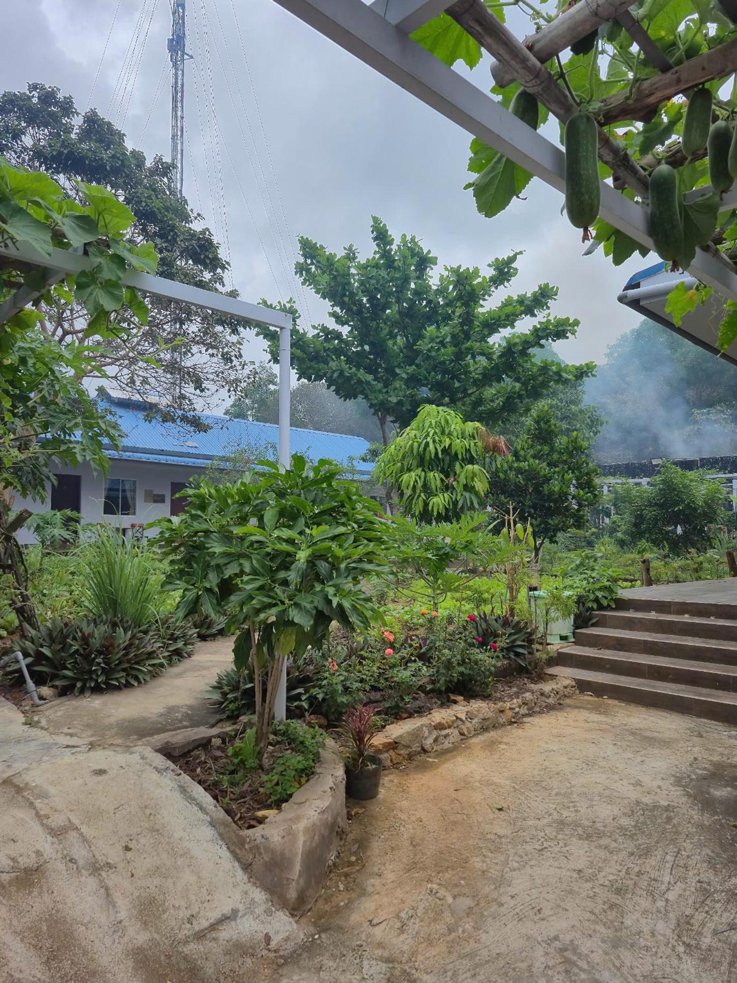 Bungalow Hotel Chi Khu Co Ong Exteriör bild
